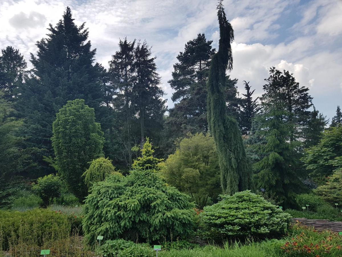 Apartamencik Maja Studio Appartement Kudowa-Zdrój Buitenkant foto